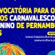 secult-pe-atualiza-resultado-final-da-convocatoria-para-os-ciclos-carnavalesco-e-junino-de-pernambuco